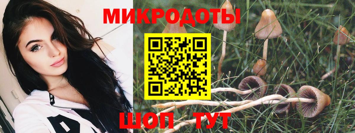 Звенигород  Псилоцибиновые грибы прущие грибы  Вход с VPN  Псилоцибиновые грибы GOLDEN TEACHER 