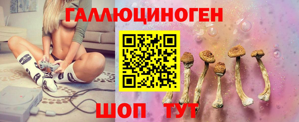 Псилоцибиновые грибы Cubensis Звенигород